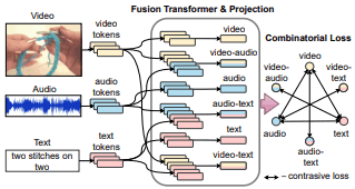 Multi-modal fusion transformer